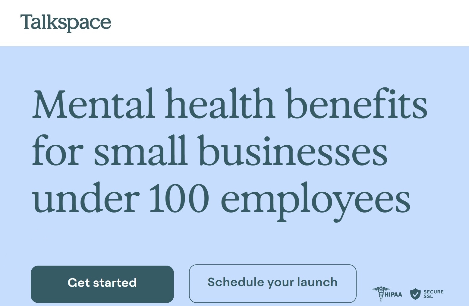 Mental health benefits for small businesses under 100 employees